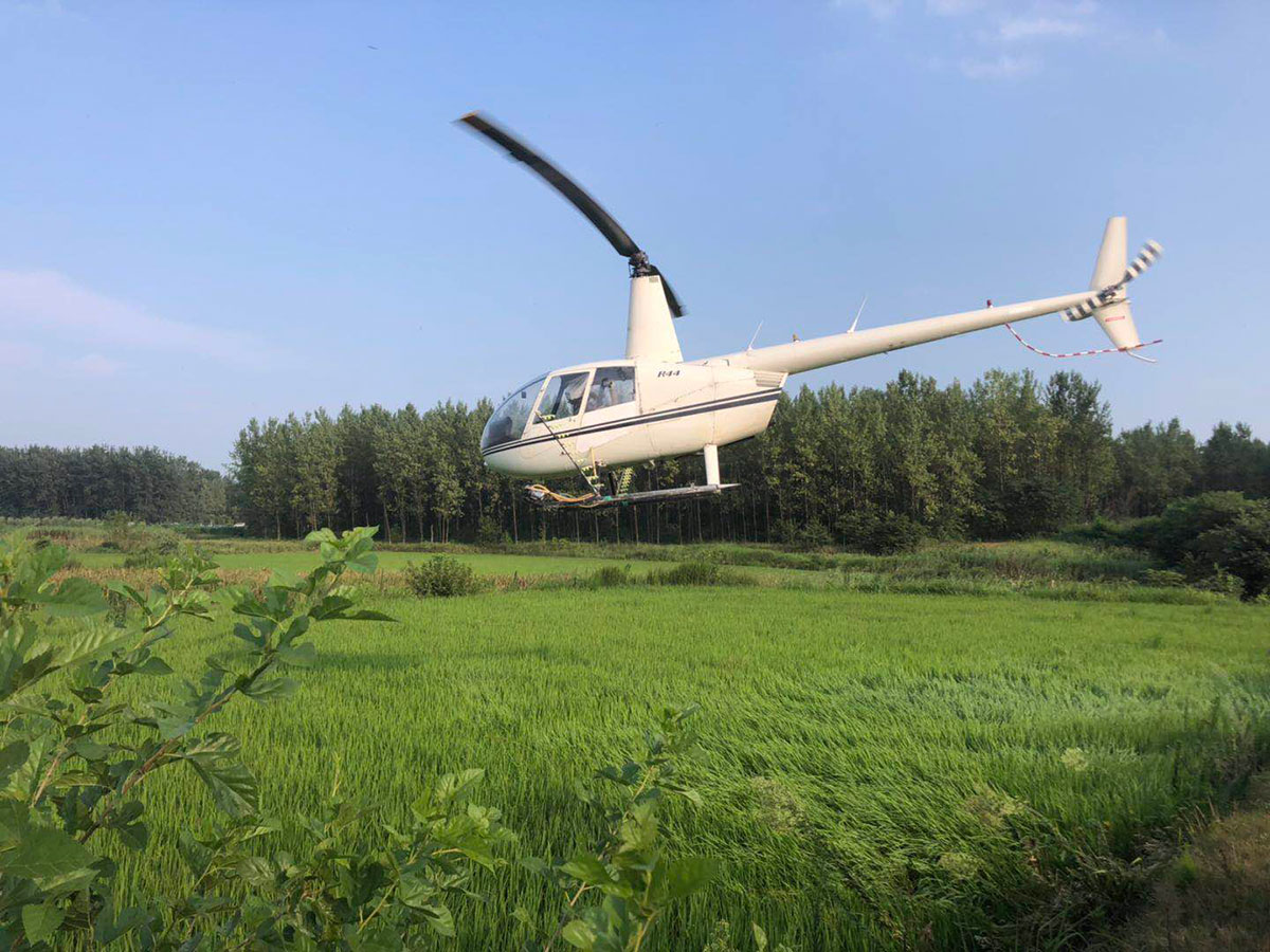 內蒙古天羽通用航空有限公司飛機防治小麥